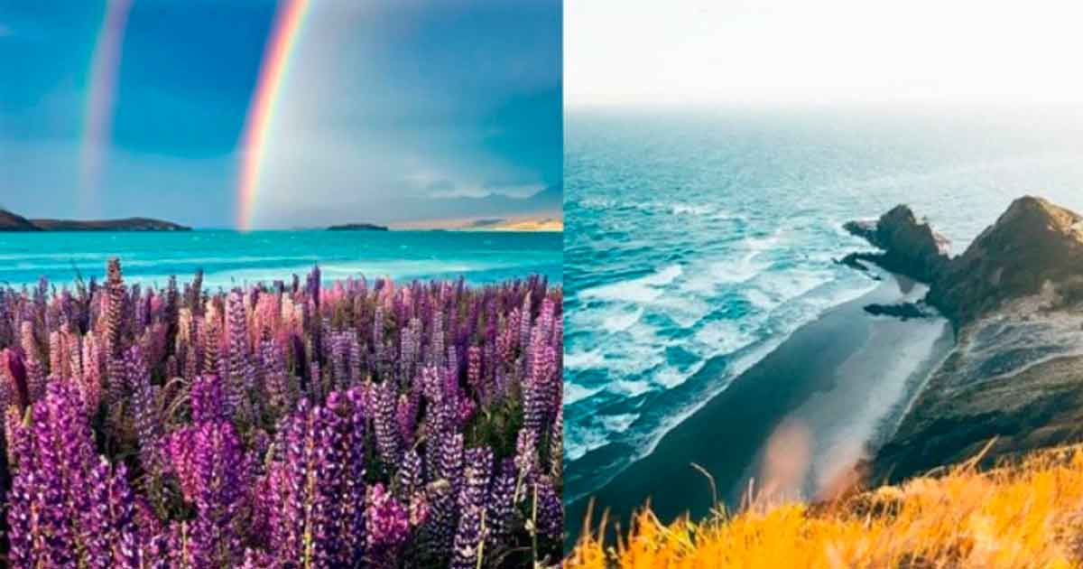 Nueva Zelanda busca mexicanos que quieran trabajar y estudiar por un año: Estos son los requisitos