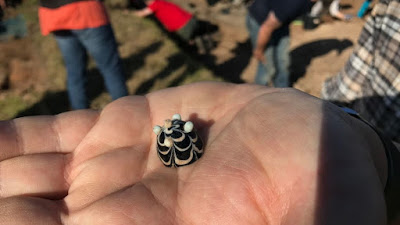 Encuentran una pieza de vidrio que podría ser el 'rey' de un juego similar al ajedrez de hace 1.200 años