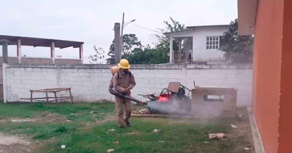 Protegen a niños del dengue