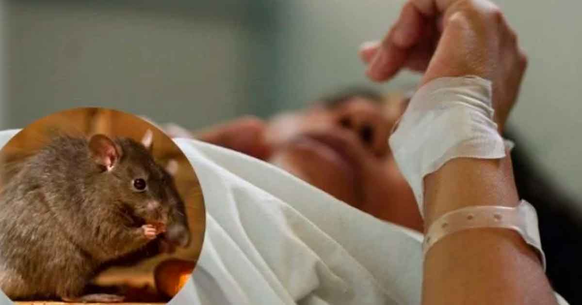 Rara y mortal enfermedad ataca a Tabasco, 17 municipios alertas por muertes