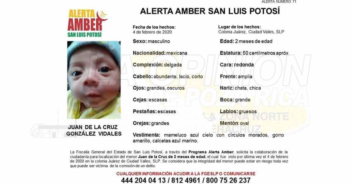 ¡Roban bebé de los brazos de su madre!