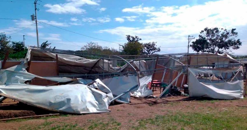 Ventarrón destructor en Xalapa por la entrada del frente frío núm 41... y viene lo peor