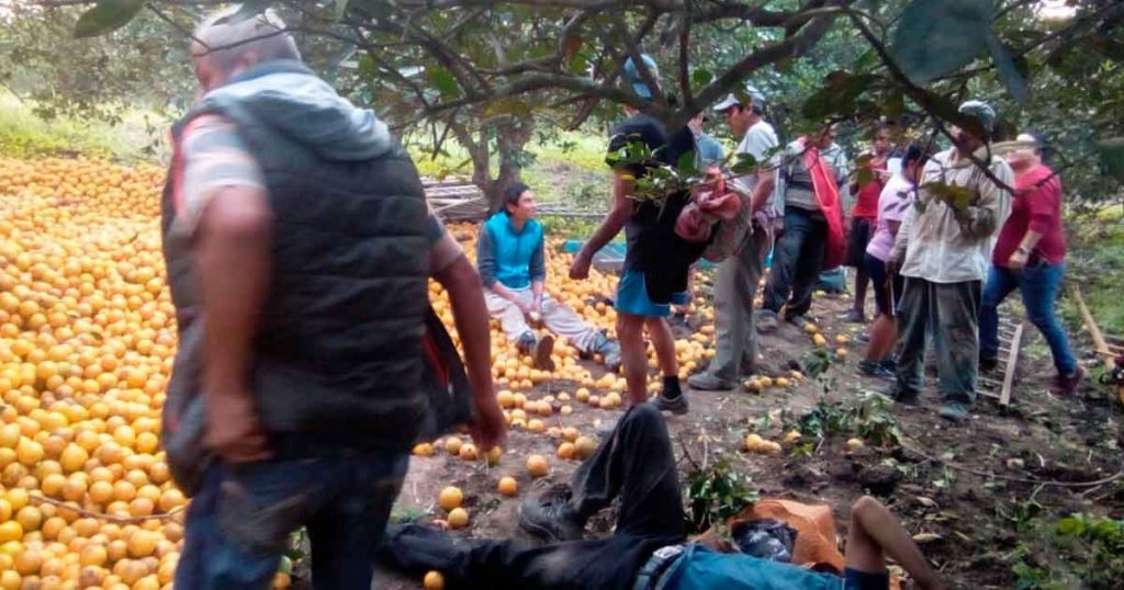 ¡Vuelca camión naranjero: dos lesionados!