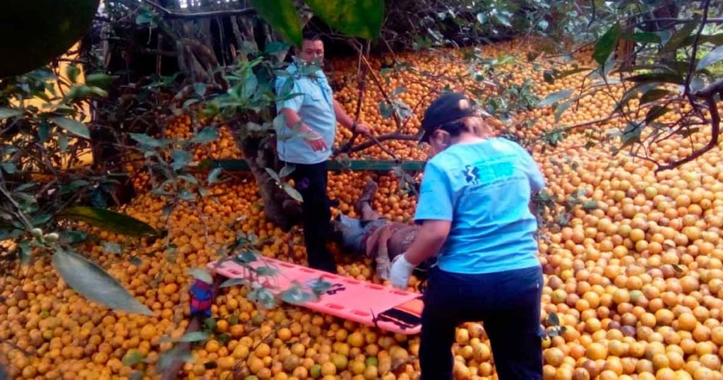 ¡Vuelca camión naranjero: dos lesionados!