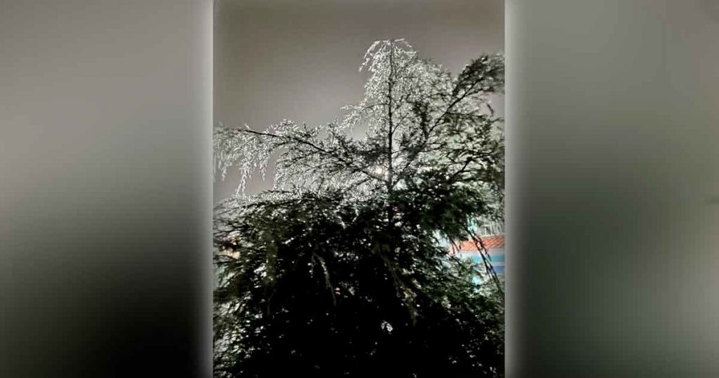 Y en Perote, la lluvia se hizo hielito