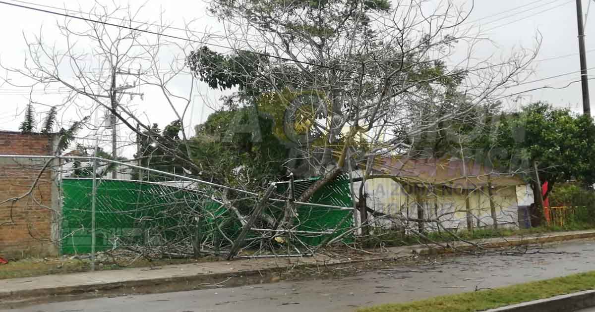 ¡Violento ingreso del frente frío número 41!