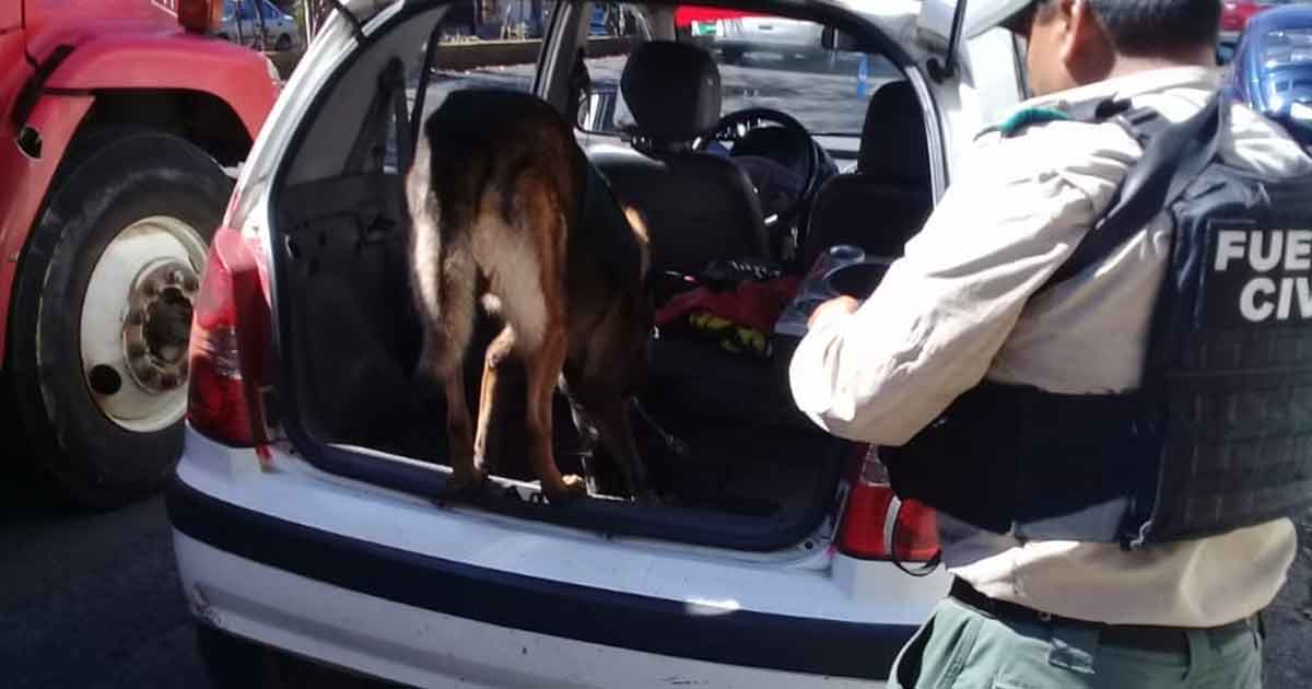 En un mes, más de 2 mil detenciones en la entidad veracruzana