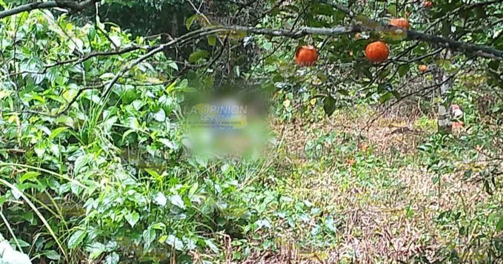 Torturado hasta la muerte, ejecutan a joven taxista de Tlapacoyan