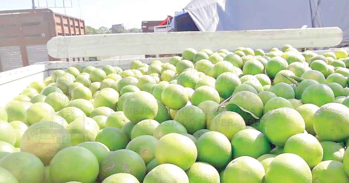 Por indemnizaciones por daños solo accederán a fondos 5 mil productores por parte de la SADER