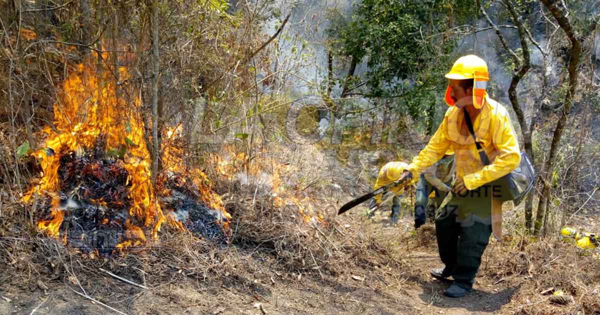 Veracruz bajo fuego: suman trece incendios forestales