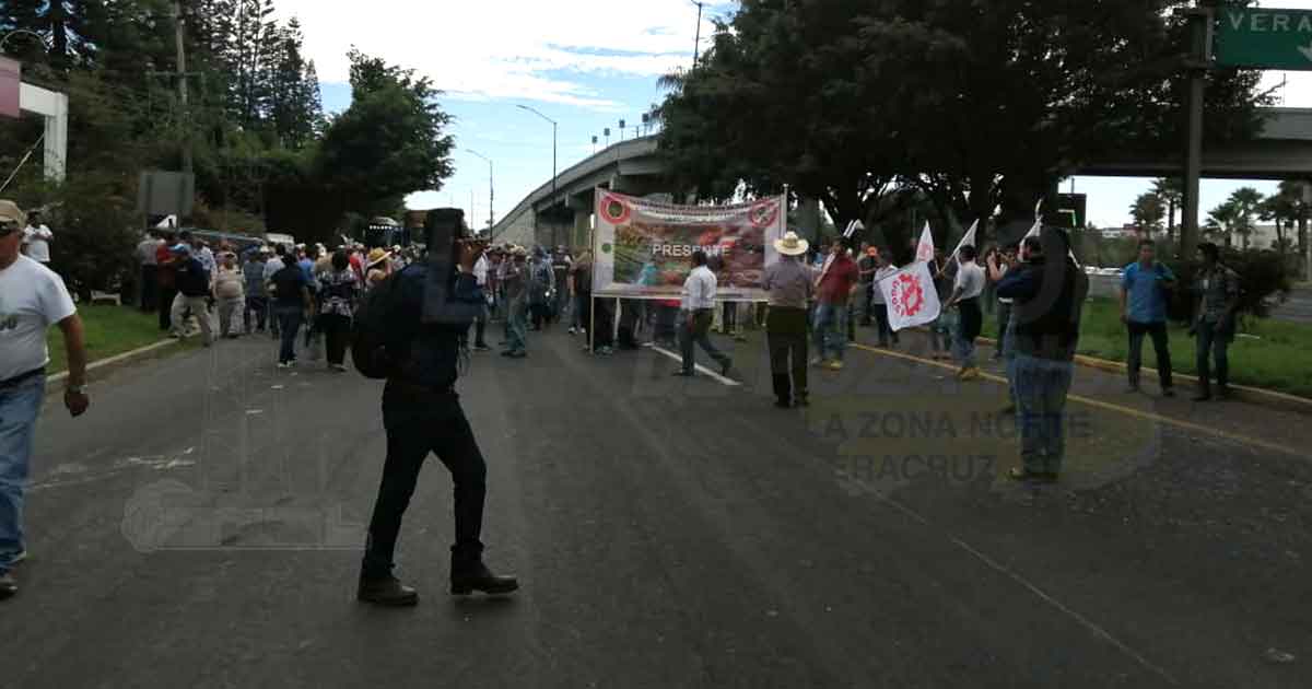 ¡Marchan cafetaleros!