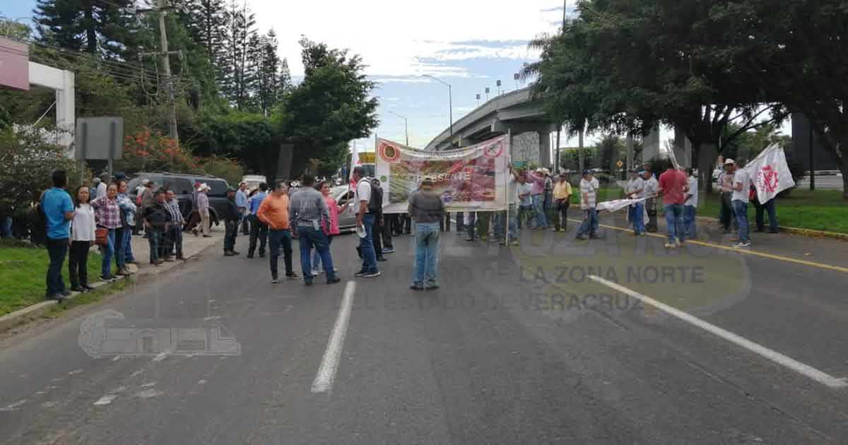 ¡Marchan cafetaleros!