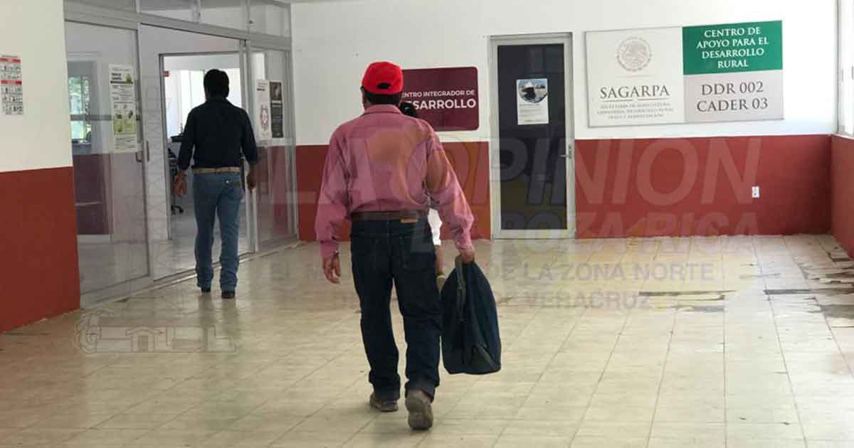 Buscan elevar la productividad del campo