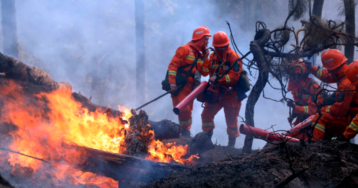 Incendio forestal en China deja al menos 19 muertos