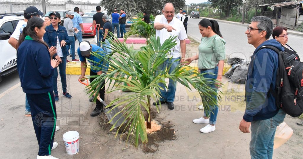 Siembran árboles sobre el Bulevar González Ortega de Poza Rica