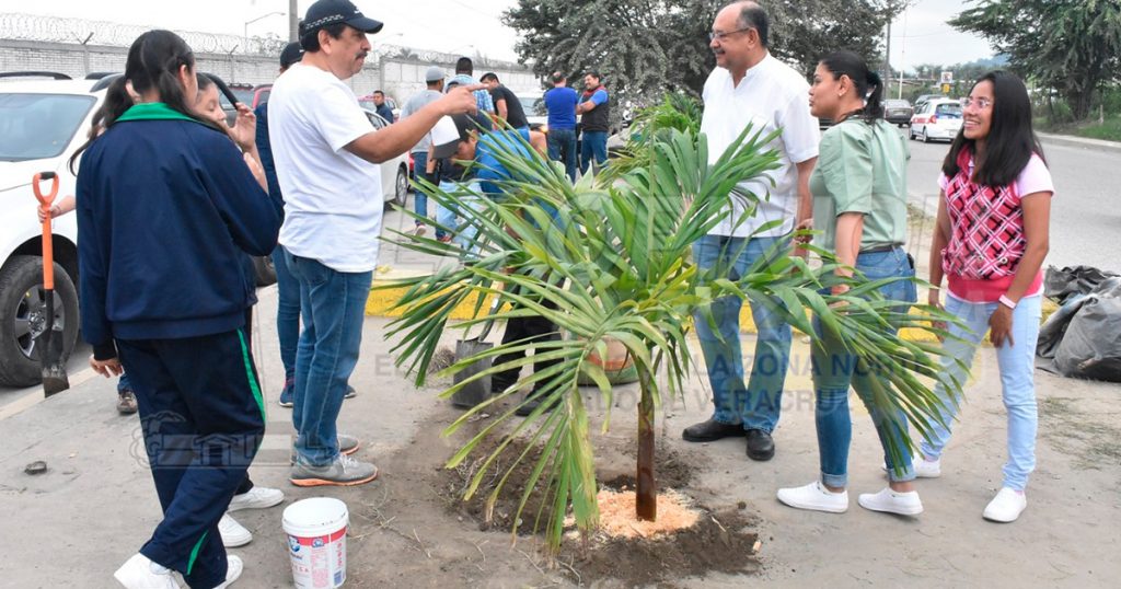 Siembran árboles sobre el Bulevar González Ortega de Poza Rica