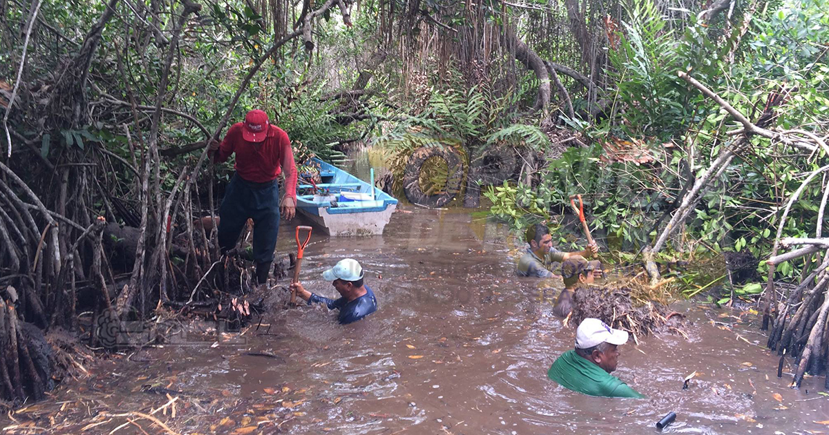 Llamado a preservar los dos sitios Ramsar