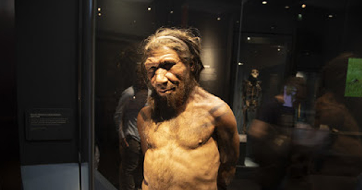 Descubren rastros de una población desconocida en el ADN de los neandertales y los denisovanos