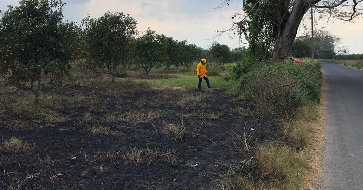 Incendios, peligro que comienza