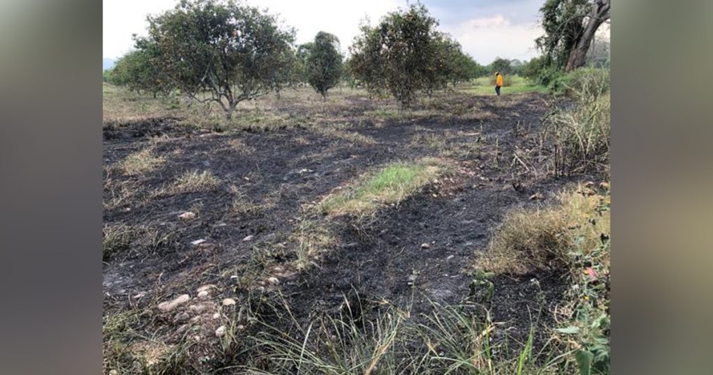 Incendios, peligro que comienza