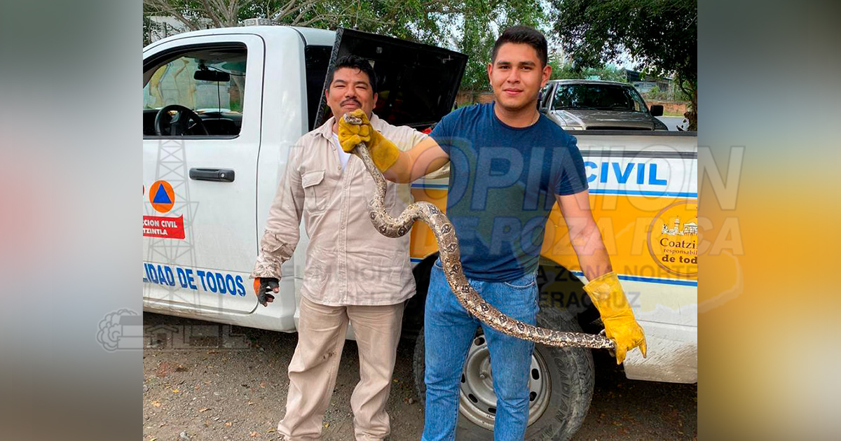 Captura mazacuata en Schlumberger en Coatzintla