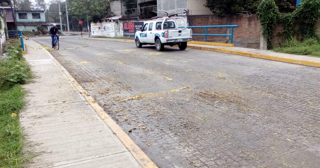 Descargan desechos cítricos en transitada calle