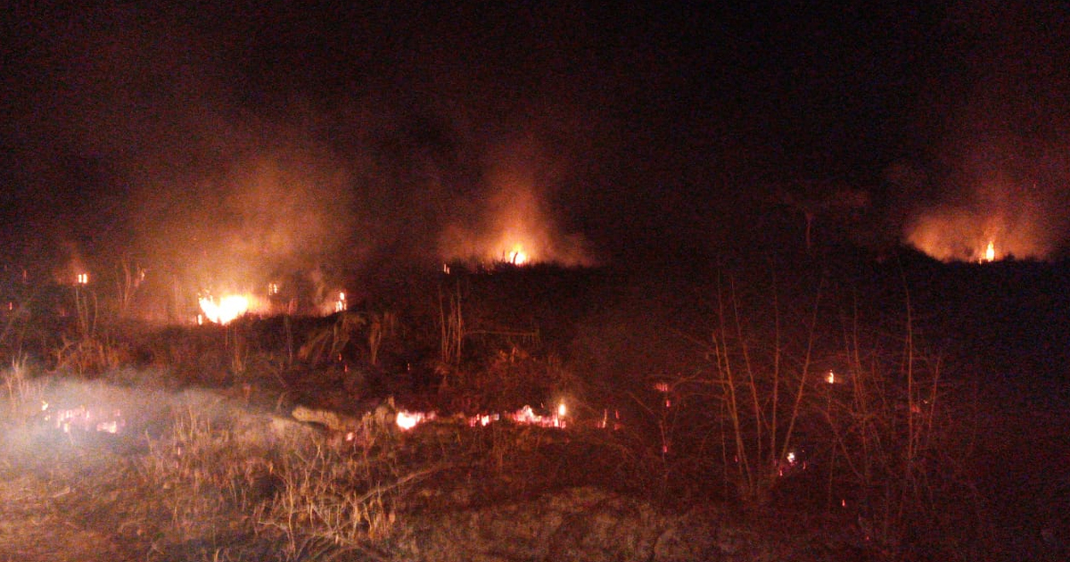 Arrasa incendio con seis hectáreas de pastizal y maleza