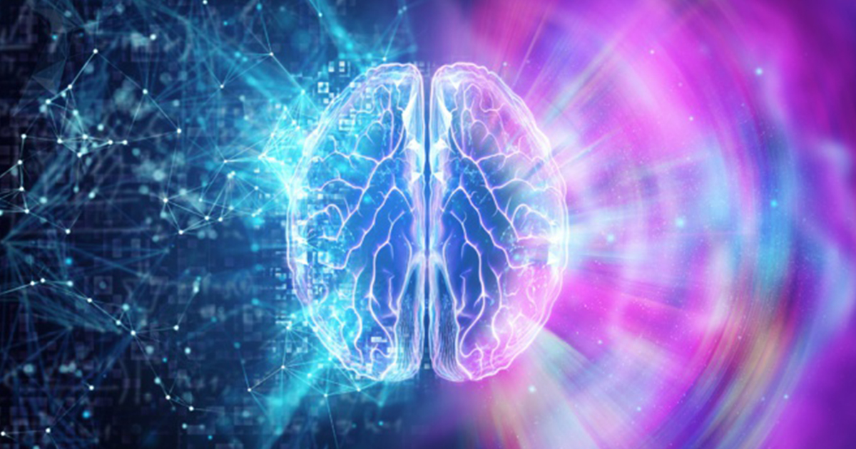 El cerebro tiene propiedades asombrosas