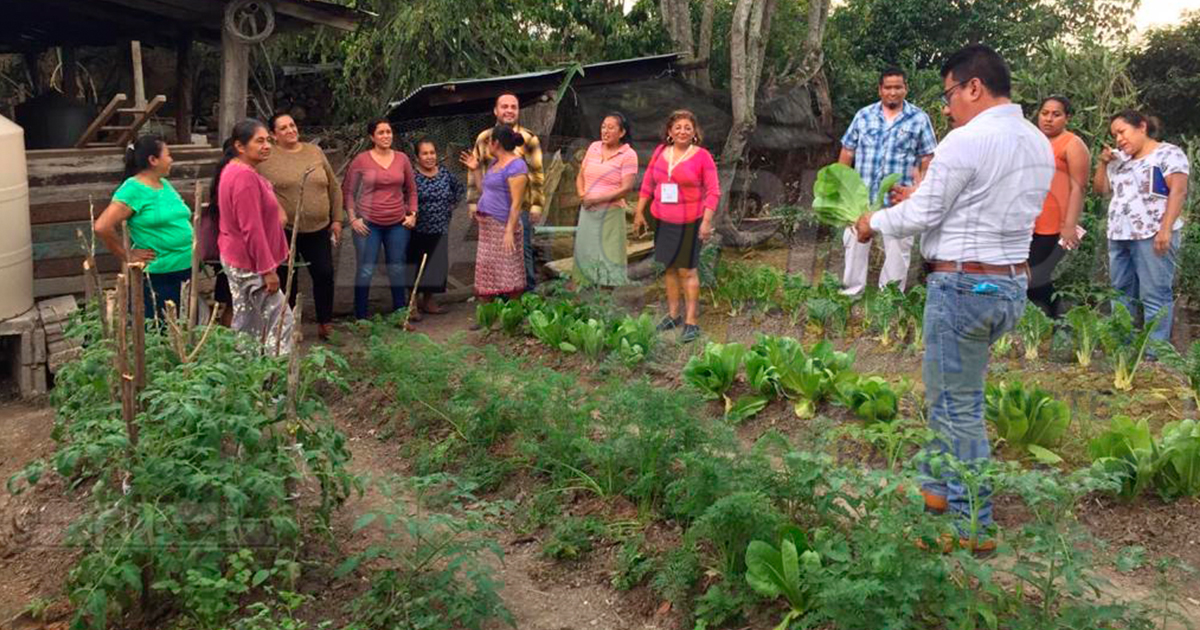 Escuelas producirán sus propios alimentos
