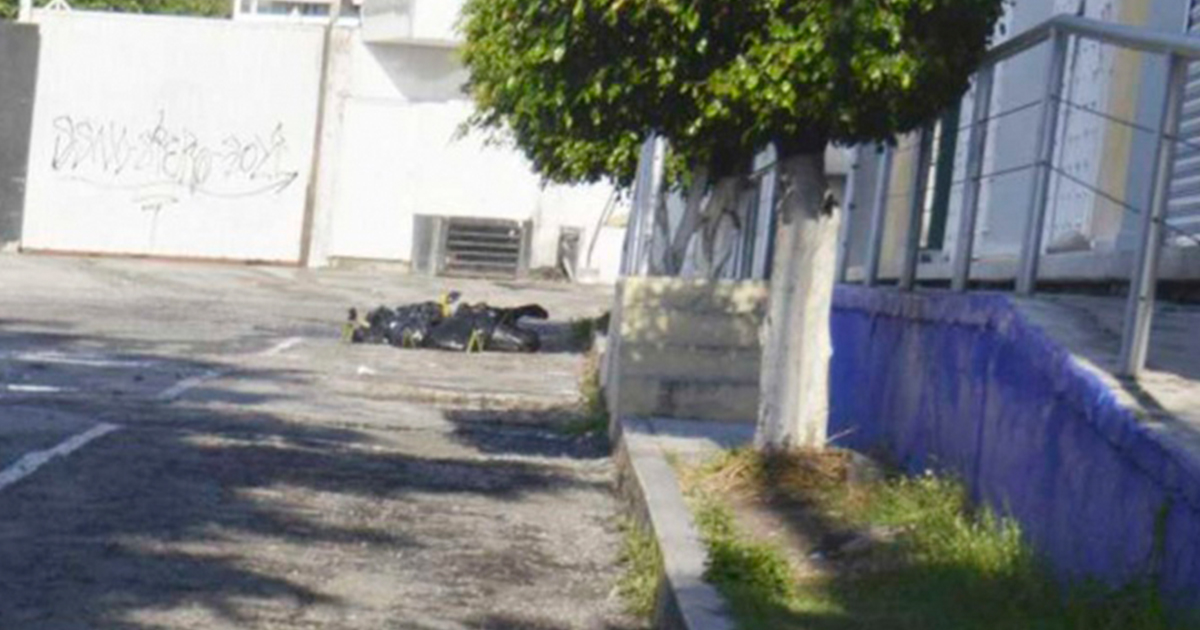 Lanzan desde auto cabeza humana en Zamora