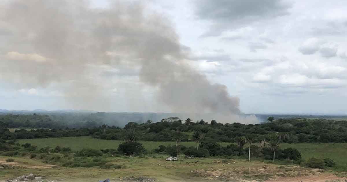Arden hectáreas de pastizal en Tuxpan