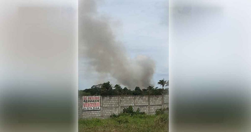 Arden hectáreas de pastizal en Tuxpan