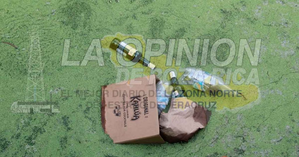 Contaminación al aire libre en el fraccionamiento Floresta