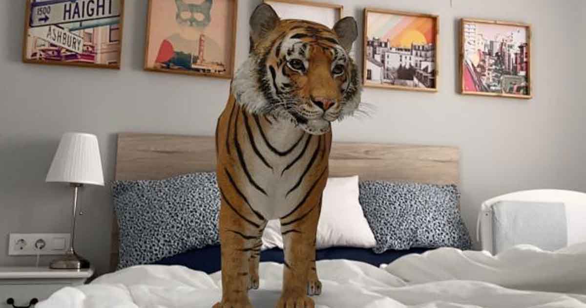 Cómo activar la realidad aumentada de Google para ver un tigre y otros animales en 3D, paso a paso