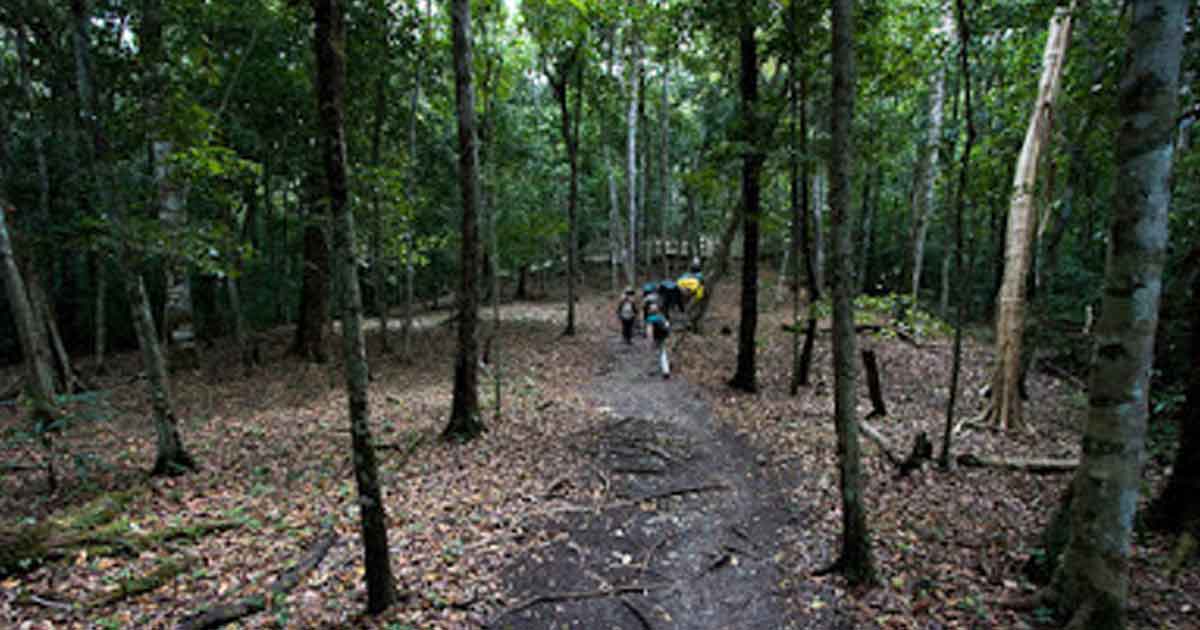 Exploran con tecnología láser una 'autopista' maya de 100 kilómetros y descubren 'tesoros' ocultos