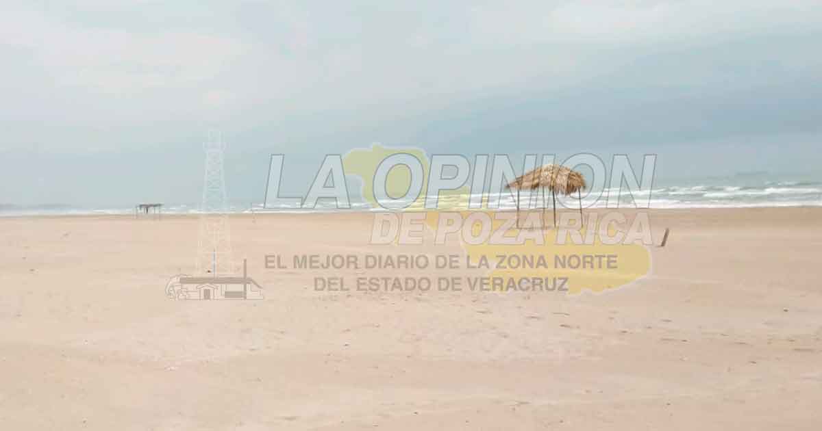 Favorece contingencia arribo de tortuga marina