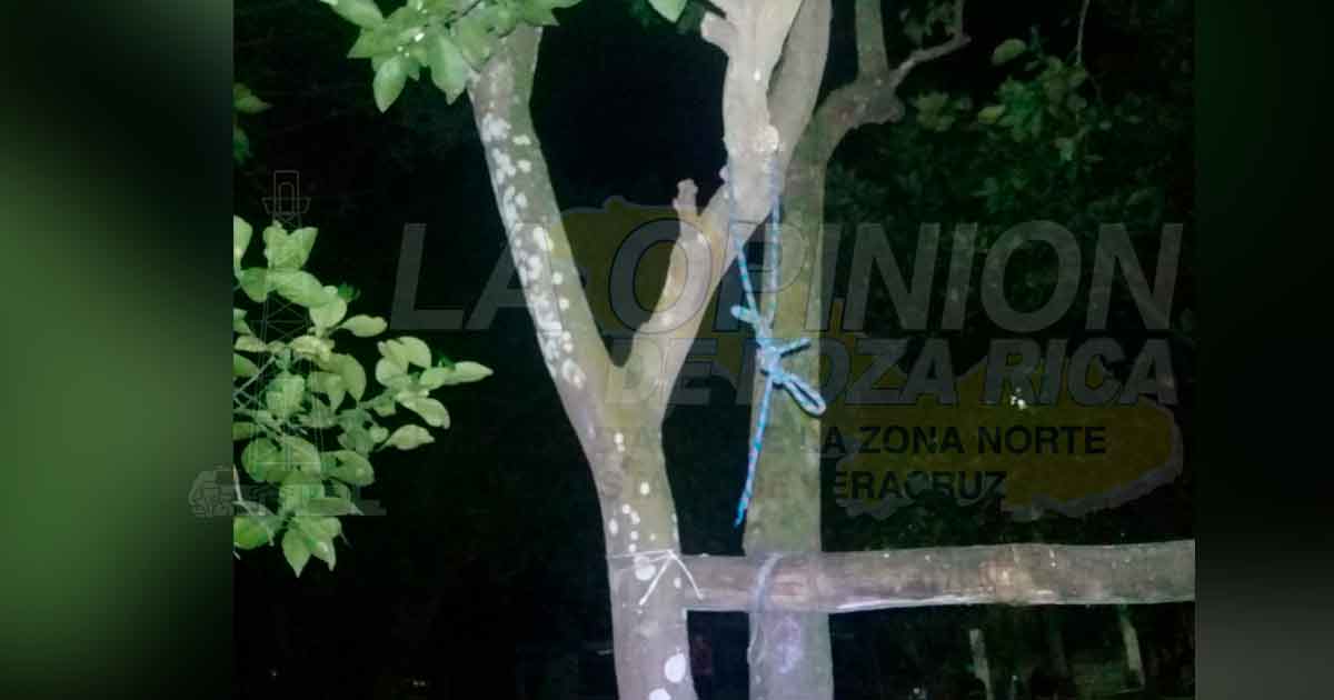 Joven se colgó de un árbol de Naranjo