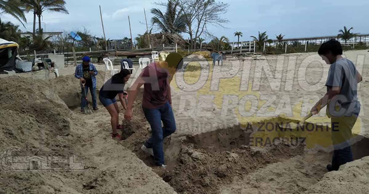 Labor de protección a tortugas no se detiene