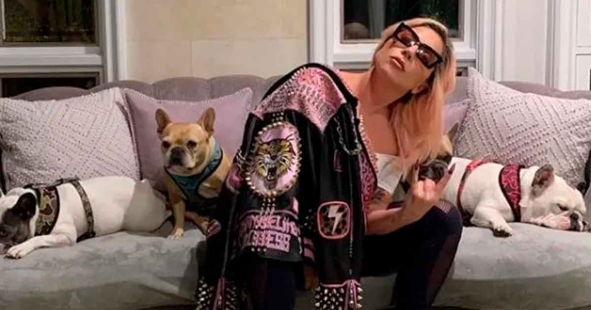 Lady Gaga anuncia cuarentena voluntaria por coronavirus