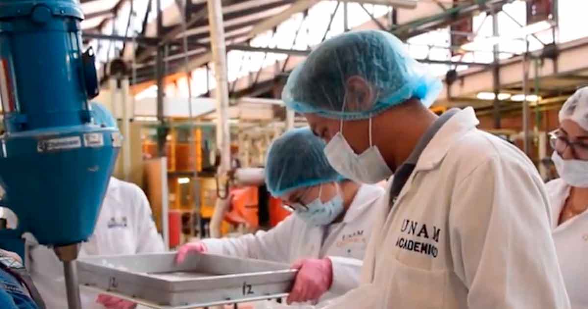 Mexicanos crean gel antibacterial ante desabasto por Covid-19