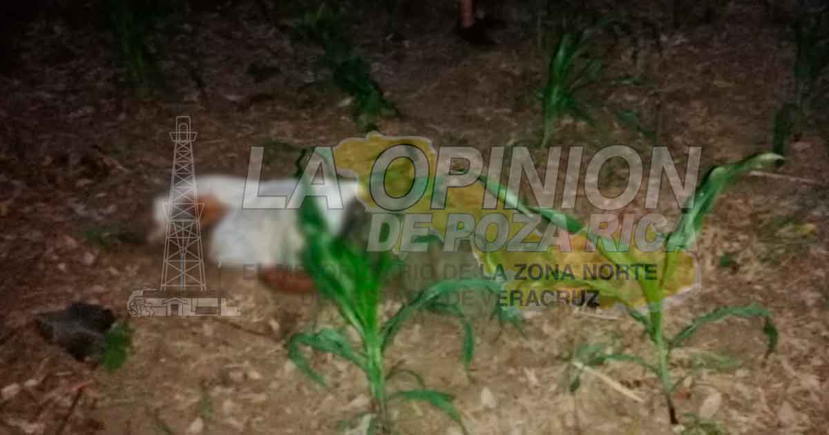 Octogenario perdió la vida en su parcela en comunidad El Ojite