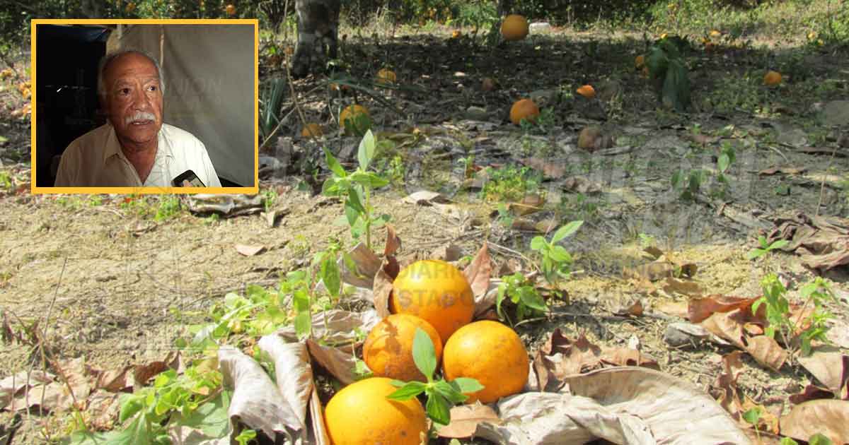 Cada vez se degradan más los suelos de zona norte
