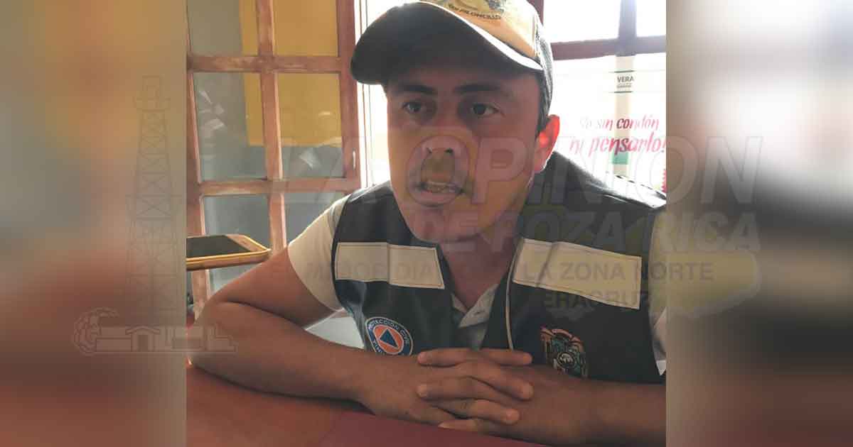 Busca PC evitar ataques de abejas