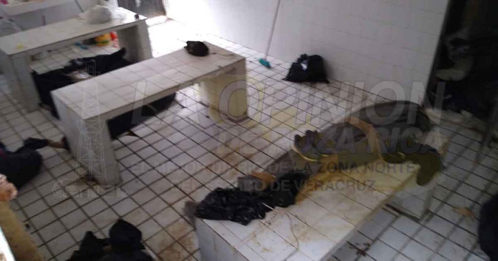 Cuerpos olvidados en anfiteatro municipal de Papantla