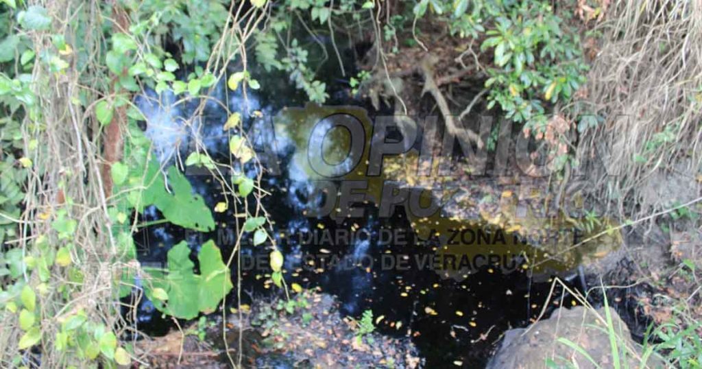 Un ecocidio más en Papantla