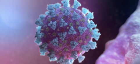 Primer muerto con coronavirus Covid-19 en México