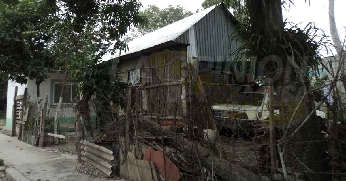 Sin casas dignas, 40 % de familias alamenses