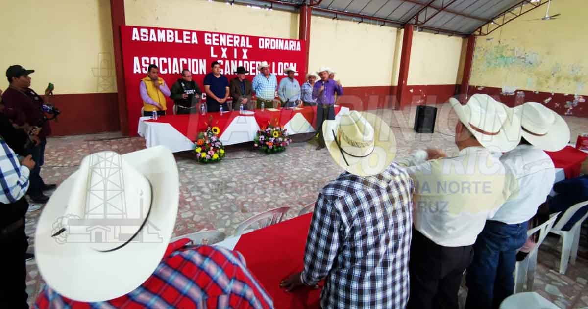 Productores exponen necesidades; precio de ganado por los suelos