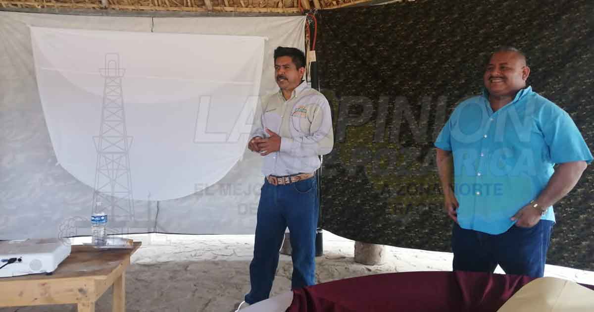 Además del aguacate, el coco y el litchi, cultivar mango es una alternativa más