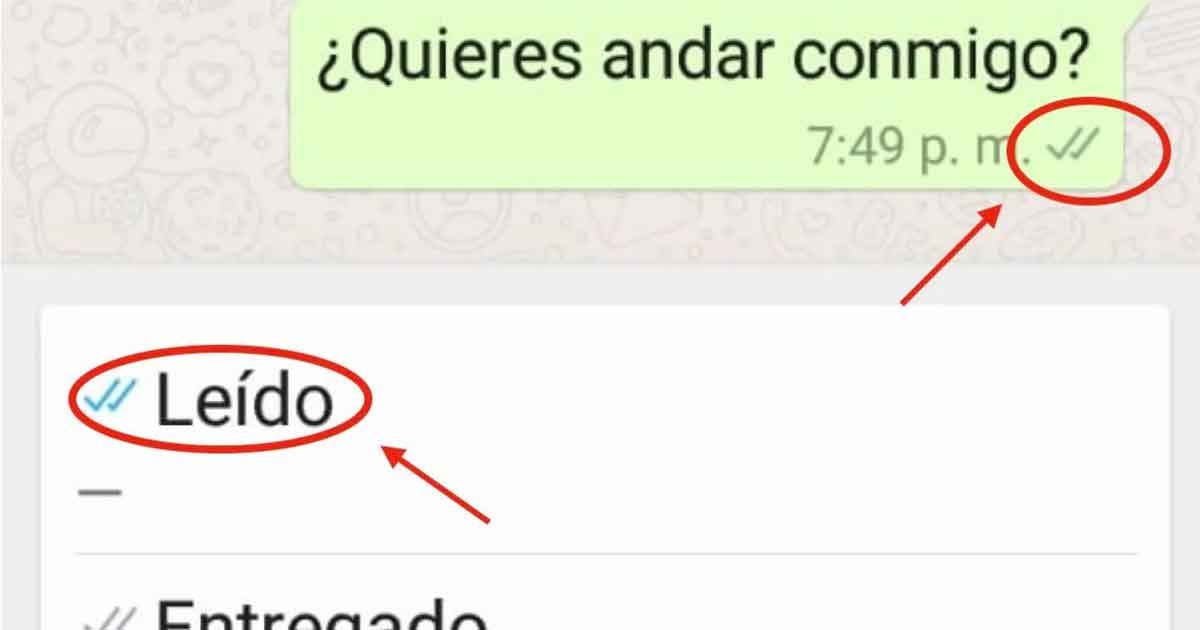 Cómo saber si leyó tu mensaje, aunque las palomitas azules estén desactivadas en WhatsApp ✔️✔️